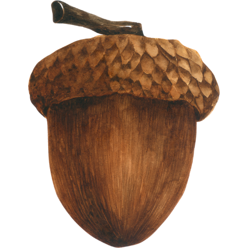 Home adsız tasarım (23)