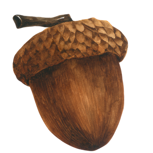 adsız tasarım (24)