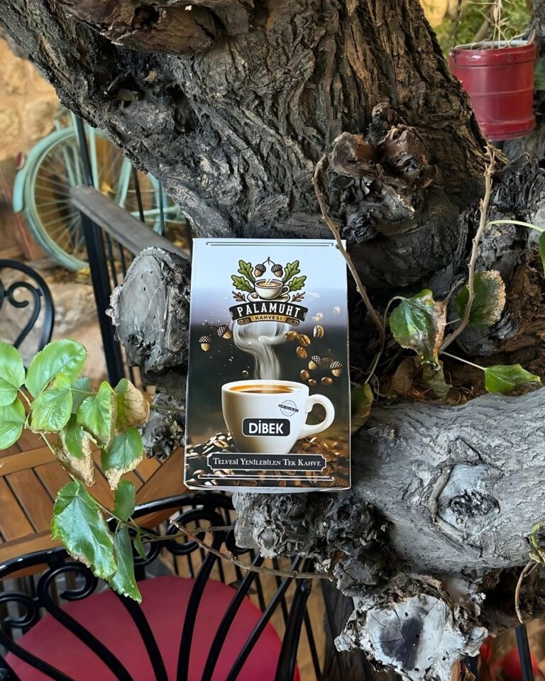 anadolu’nun gizli mirası şimdi fincanınızda! (12)palamut kahvesi