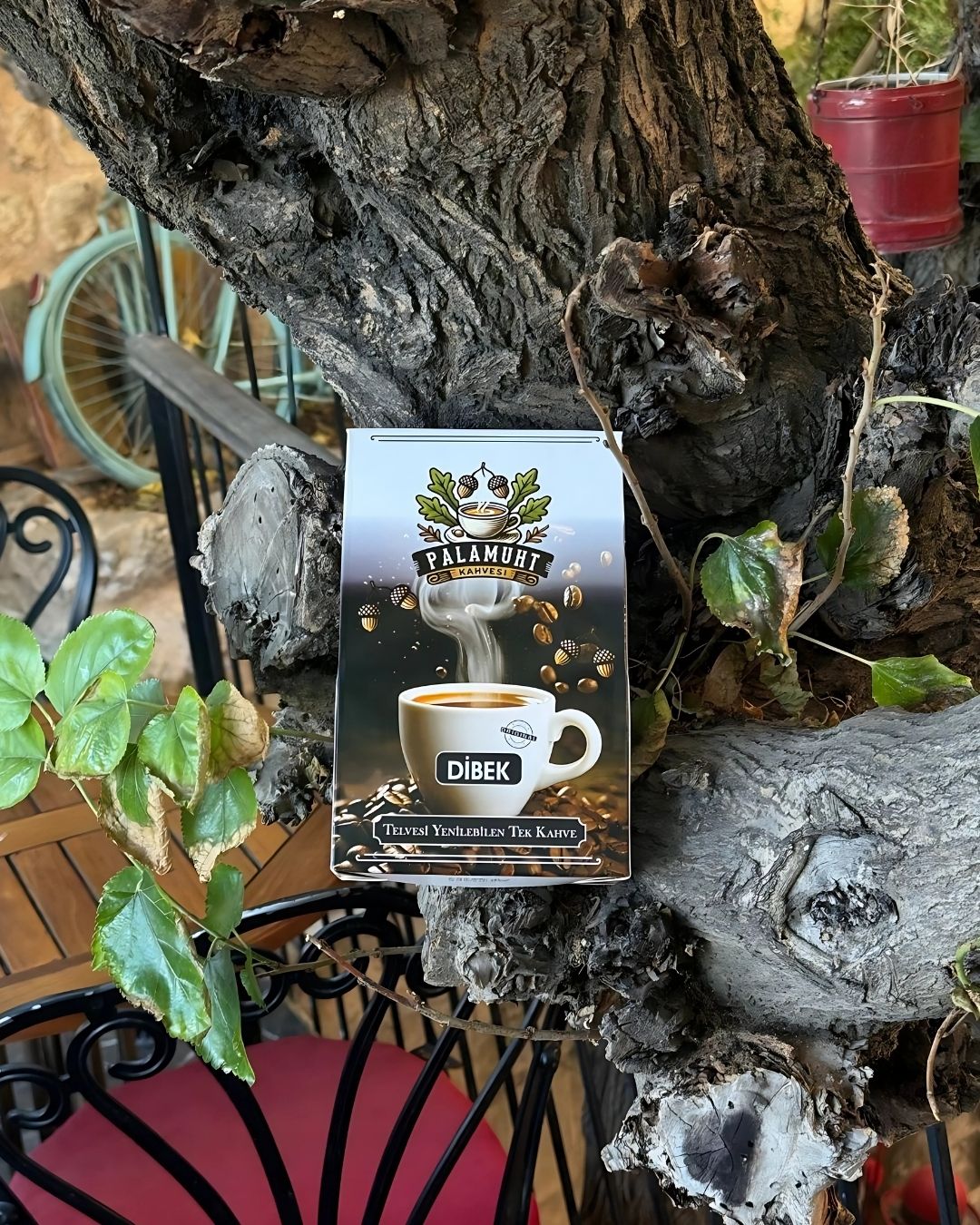 About anadolu’nun gizli mirası şimdi fincanınızda! (12)palamut kahvesi