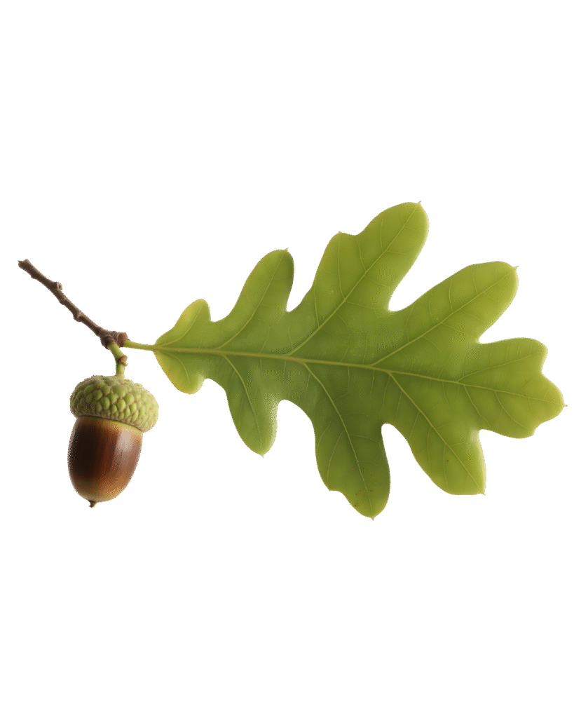 Home anadolu’nun gizli mirası şimdi fincanınızda! (4)